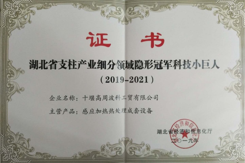 9-2019年感應加熱熱處理成套設備獲得湖北省支柱產業細分領域隱形冠軍科技小巨人.jpg